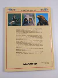 Katselemme lintuja