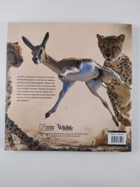 Maailman parhaat luontokuvat 2010 : 20. vuosikerta = Wildlife photographer of the year