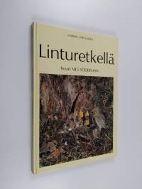 Linturetkellä