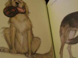 dogs