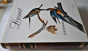 J.-J Audubon Linnut