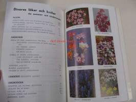 Priskurant. C.J. Segers &amp; Zonen N.V. - Blomsterkodling och Export - Hillegom (Holland)