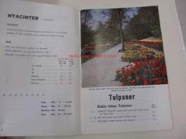 Priskurant - Hylkema &amp; Co.  Blomsterlöksodlingar &amp; Export - Hillegom (Holland)