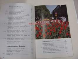 Priskurant - Hylkema &amp; Co.  Blomsterlöksodlingar &amp; Export - Hillegom (Holland)