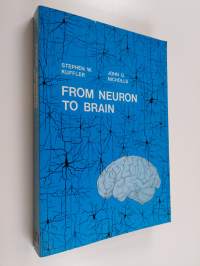 From neuron to brain : a cellular approach to the function of the nervous system