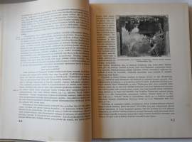 A. Gallen-Kallelan Kalevala-taidetta