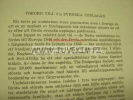 Den stora undulat boken