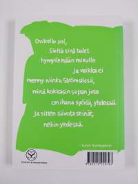 Ei menny niinku Strömsössä 2