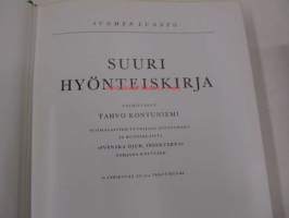 Suuri hyönteiskirja
