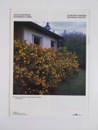 Mustilan taimitarhat : hinnasto