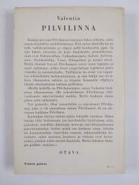 Pilvilinna : eräänlainen kertomus