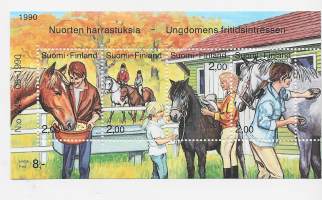 Nuorten harrastuksia 1990 - Pienoisarkki  **