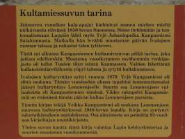 Satakunnan kulkurista kullankaivajiksi - Kangasniemen erään sukuhaaran tarina 1850-luvulta 1980-luvun lopulle