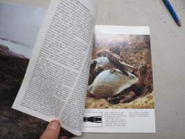 Hasselblad wildlife photography -myyntiesite / brochure in english