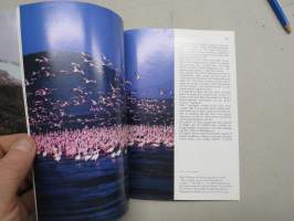 Hasselblad wildlife photography -myyntiesite / brochure in english