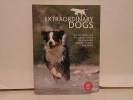 Extraordinary Dogs
