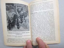 Kotilieden kalenteri 1929 (Kotiliesi), runsaasti artikkeleita eri aiheista