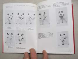 Introduction to karate