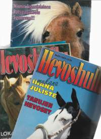 Hevoshullu 1993 nr 4,21 ja 23 yht 3 lehteä
