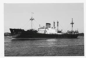 m/s Ariel Alus on rakennettu 1970 ja ollut FÅA:n omistuksessa vuoteen 1987.- laivavalokuva  valokuva 10x15 cm