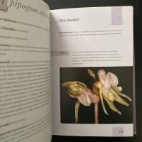 Orkideankasvattajan käsikirja