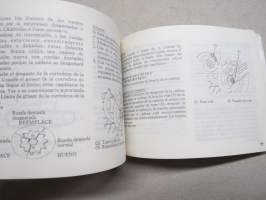 Honda XRV750 owner´s manual -käyttöohjekirja englanniksi, hollanksi ja espanjaksi, sähkökaavio mukana