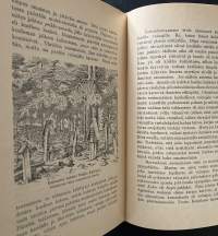 Kertomuksia Suomen historiasta - Suomen historia nuorisolle - Pakanuuden aika - 1. osa