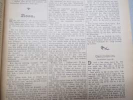 Svensk Dam-Tidning 1905 -vuosikerta / annual volume