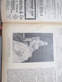 Svensk Dam-Tidning 1902 -vuosikerta / annual volume