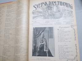 Svensk Dam-Tidning 1903 -vuosikerta / annual volume