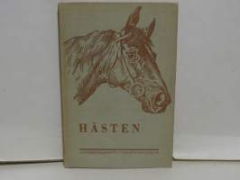 Hästen - Praktisk handbok i hästavel och hästuppfödning