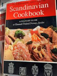 Scandinavian Cookbook A culinary guide