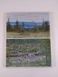 Posio (signeerattu, tekijän omiste)