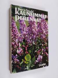 Kauneimmat perennat