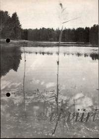 Suomen Partiotyttöjärjestö: Vj-viiri 1/1961