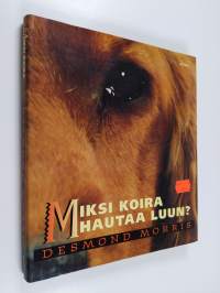 Miksi koira hautaa luun?