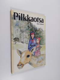 Pilkkaotsa