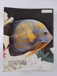 Merten salaisuudet 1-47/1977 (13 numeroa puuttuu)