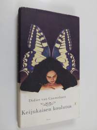 Keijukaisen koulutus