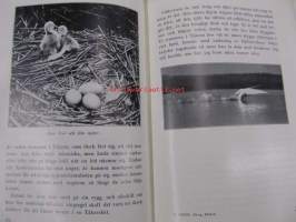 Tåkern. En bok om fåglarnas sjö
