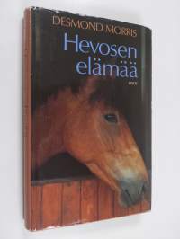 Hevosen elämää