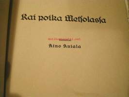 Kai poika Metsolasta