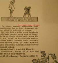 Kai poika Metsolasta