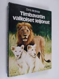 Timbavatin valkoiset leijonat