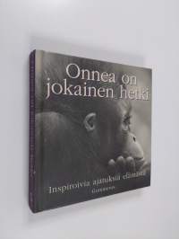 Onnea on jokainen hetki