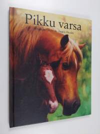 Pikku varsa