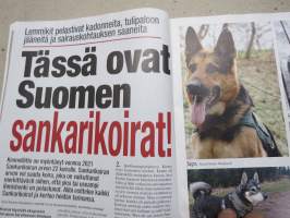 Alibi 2021 nr 12, Sankarikoirat, Jere Karalahti uhkaili, Porvoo perhesurmat, Tampere huumekauppapaikat, Terno ampui, Vuoden poliisi, Seinäjoen matti ampui kohti, ym.