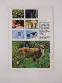 Suomen luonto n:o 1/1974