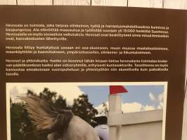 Hevoset ja kunta-rajapintoja