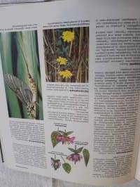 Suomalainen luonto Kotimaan maisema lähikuvassa. Valitut palat v.1981. Mielnkiintoista on mitä kirjan kasveja ja eläimiä on hävinnyt. Miten joku maisema muuttunut